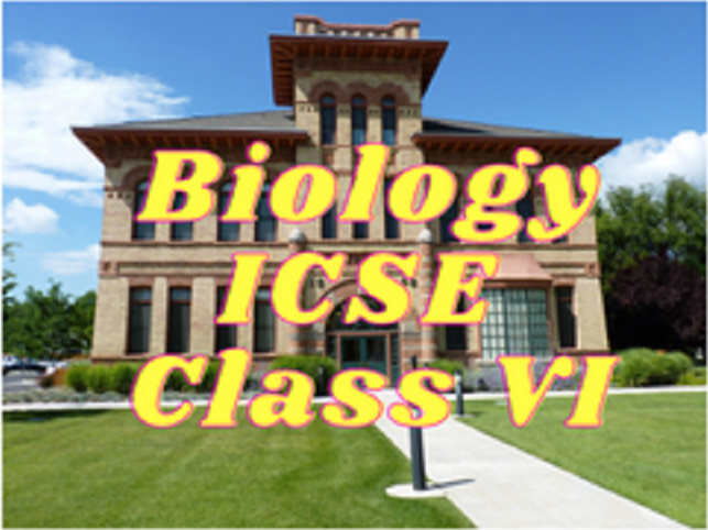 Biology (ICSE) - Class VI